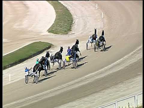 Trotto 10/05/2019 - 4ª corsa