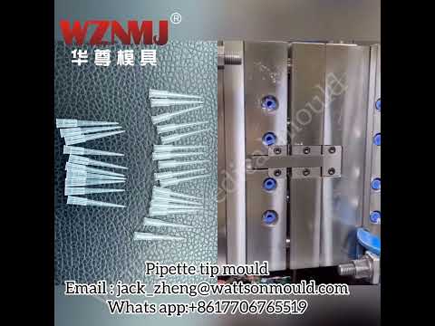 Pipette tip mould          Email : jack_zheng@wattsonmould.com              Whats app:+8617706765519