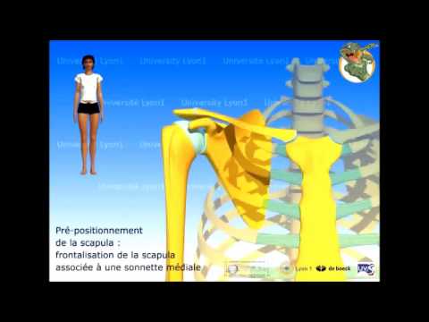 Manifestazioni cardiovascolari di osteocondrosi cervicale Erbe osteocondrosi