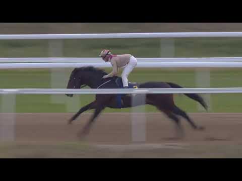 2019.11.03 Songline Classic (SWE) - Victor Kalejs