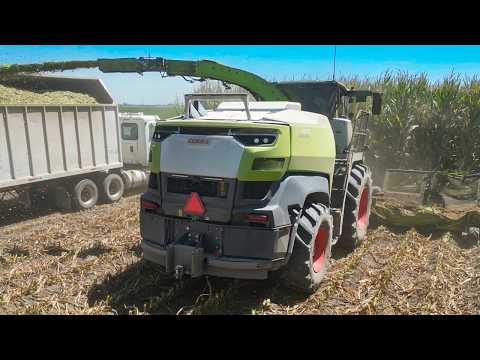 BRAND NEW 1,110HP Claas Forage Harvester 14 Rows at a time!