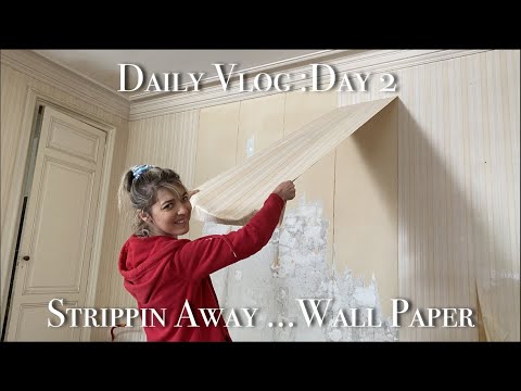 EP49 Daily Vlog :How to remove wallpaper easily Day 2 of 7 day Transformation Challenge