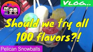 Vlog: Pelicans Snoballs - Should we do it!