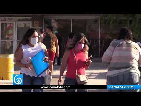 Video: Incrementan casos de dengue en Coahuila