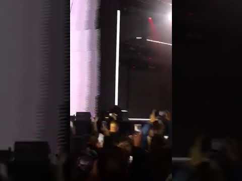 Maya Berovic Harem SPENS