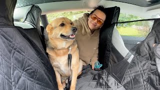 Wexyldra Dog Car Seat Cover For Back Seat, for Model Y (2020–2025) & Model 3 (2017–2025) - Review