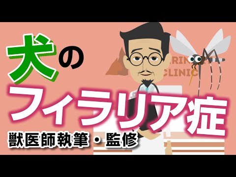 バベシア症:犬マラリア – 症状と治療