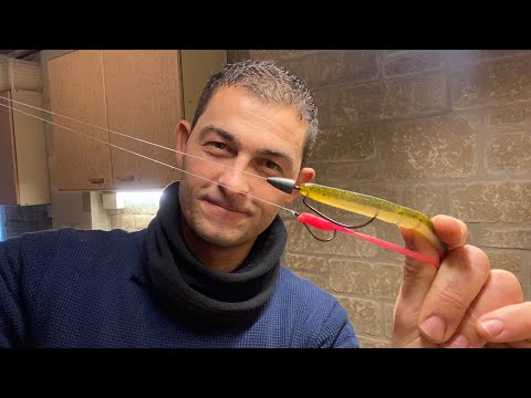 Lure Fishing For Beginners - Soft Plastics Lure Texas Rig, Carolina Rig and Dropshot
