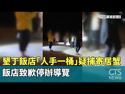 墾丁飯店「人手一桶」疑捕寄居蟹　飯店致歉停辦導覽