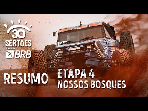 ETAPA 4 | NOSSOS BOSQUES - RESUMO - SERTÕES BRB 2022