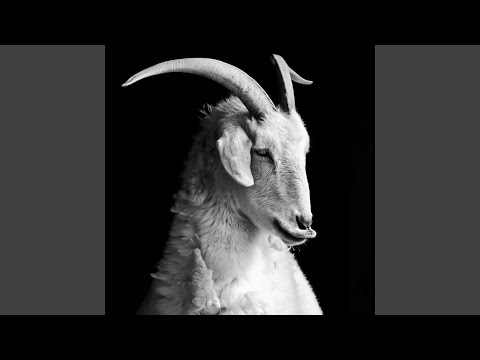 Free carti (feat. Ymg key)