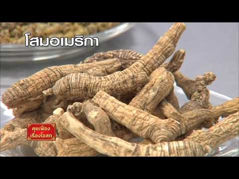 ผู้หญิงซื้อเชื้อโรคใน Novosibirsk คนเล็กกระเจี๊ยว