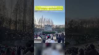 White pigeons fly to the square at the proposal scene