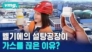 버려지는 열에 '전기'를 더했더니? 공장들이 가스관을 치운 이유 / 비디오머그