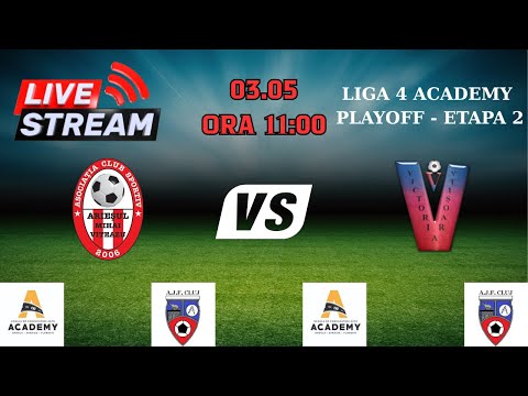 Liga 4 Academy, Playoff: Arieșul Mihai Viteazu - Victoria Viișoara