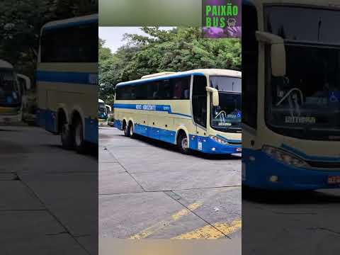 SÃO PAULO X IBIPITANGA | NOVO HORIZONTE 1031611 EM SÃO PAULO #apaixonado #paixão #sertanejo