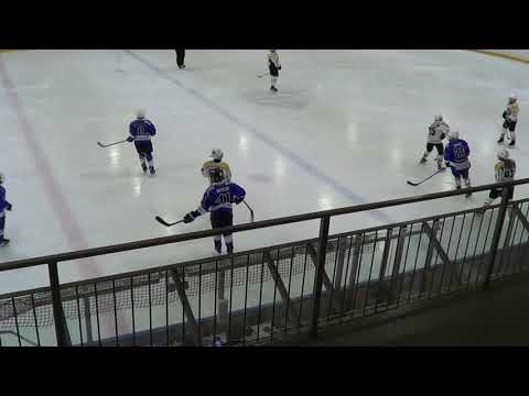 D2 AA VirkiaValkoinen vs VirkiaSkk