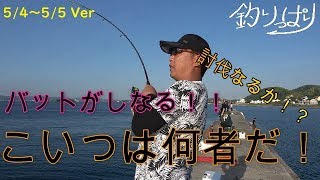 【館山釣り情報】ついにあいつを討伐か！？5/4～5/5【釣りっぱり】