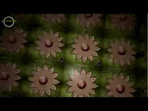 Chris Rich - That Way - BSMEP003 Outside In