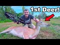 Let S Go Deer Hunting First Deer Hunt Of The Year