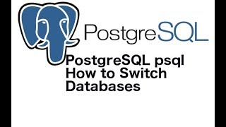 PostgreSQL psql How to Switch Databases