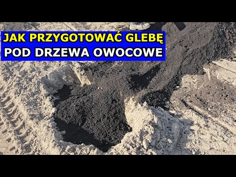 Przygotowanie Gleby pod Sad. Uprawa Jabłoni, Gruszy, Brzoskwini, Pigwy, Czereśni, Wiśni Śliwy Moreli