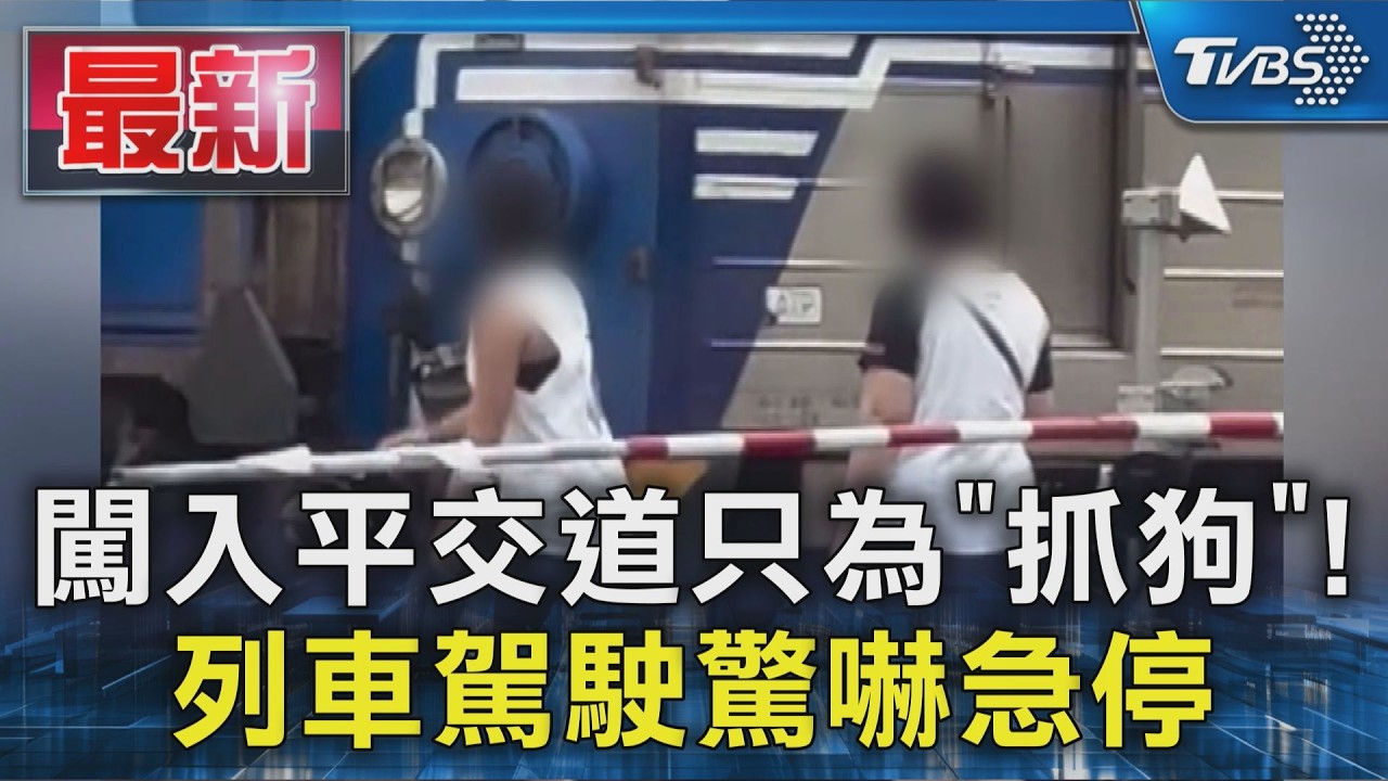 闖入平交道只為「抓狗」! 列車駕駛驚嚇急停｜TVBS新聞 @TVBSNEWS01
