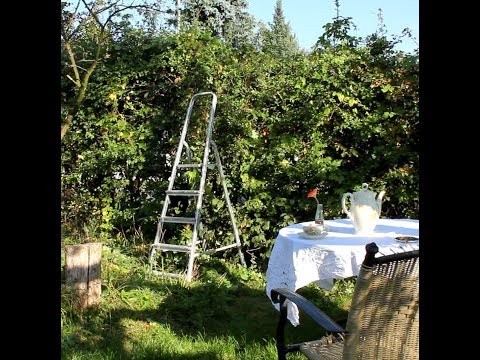 Hecke weg (feat. Susi)