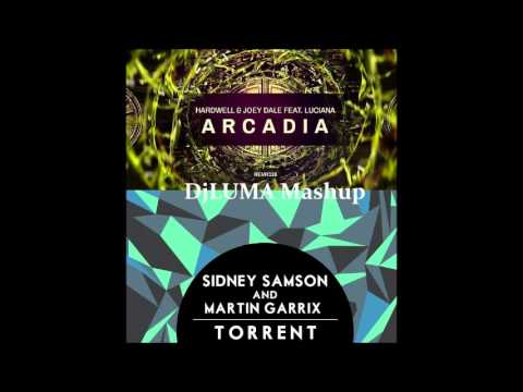 Sidney Samson & Martin Garrix  VS Hardwell & Joey Dale ft Luciana - Torrent Arcadia (DjLUMA Mashup)
