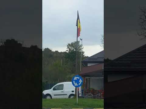 Primar PSD.com Letca