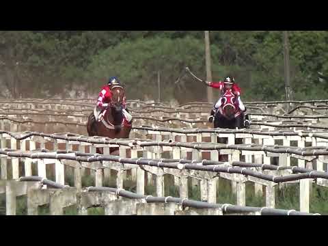 3 ELIMINATORIA  - GP FAMILIA CRUZ 550M  - CARAZINHO  - FORCA DU DINHEIRO