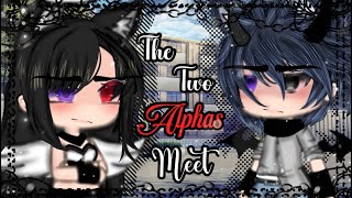 The Two Alphas Meet  GLMM  Gacha Life  Gacha Life 