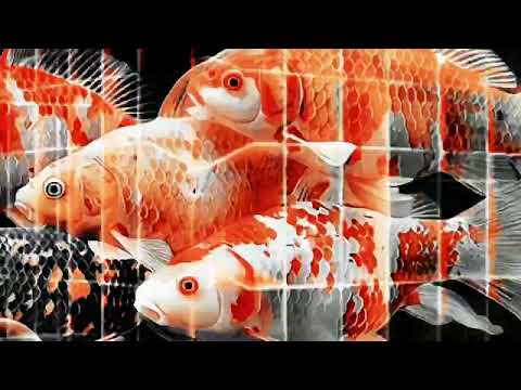 Shlomi Aber — Affairs [BAOX28]