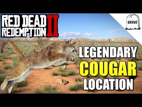 Legendary Cougar Location Red Dead Redemption 2