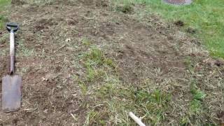 Easiest way to remove Monkey Grass