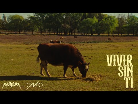 Miniatura de Vivir Sin Ti