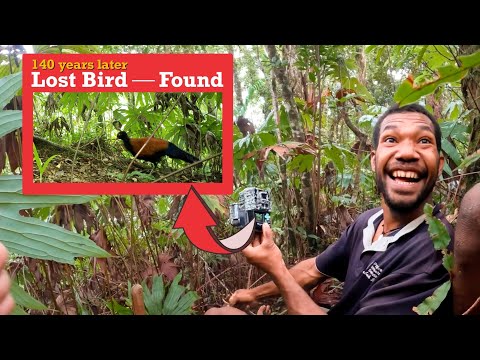 How the 140-Year-Lost Auwo Was Found!