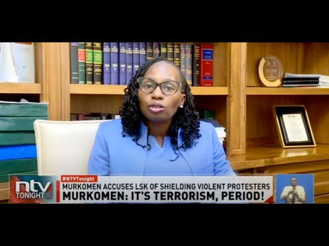 LSK boss Faith Odhiambo hits back at state over terror charge claims against protesters, activists