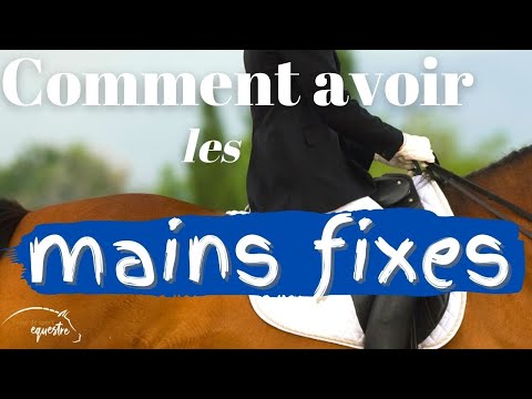 Comment avoir les mains fixes à cheval