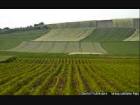 Divan je kićeni Srem - Duško Ljubičić i orkestar "Branko Marković"