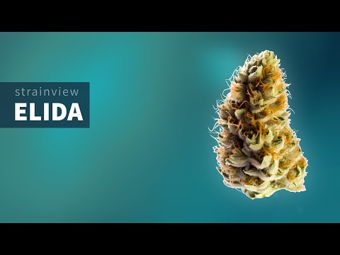 Elida - StrainView