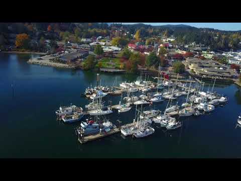 Ganges Town, Salt Spring Island, BC | DJI Mavic Pro Drone #Shorts