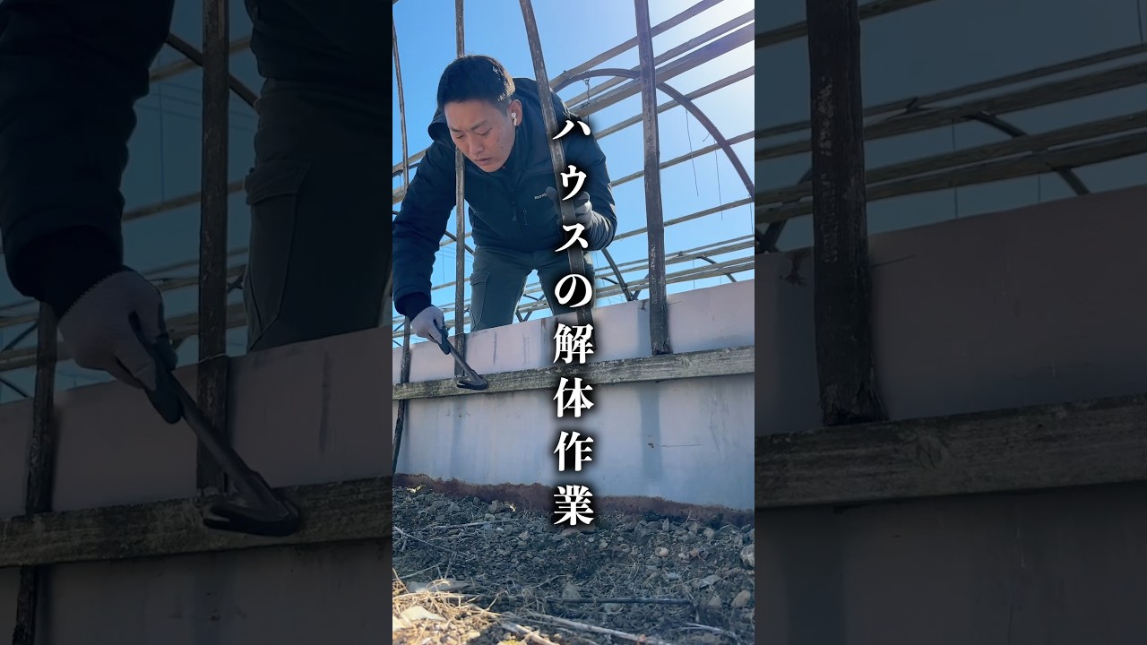 ハウスの解体作業！ #shorts