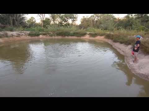 CRIAÇÃO DE PEIXE DO ZÉ MARIA ESTÁ DANDO CERTO ?