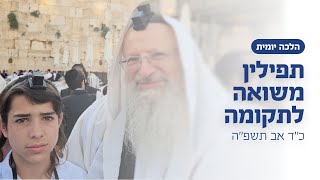 תפילין משואה לתקומה | הרב שמואל אליהו | הלכה יומית | כ״ד אב תשפ״ה (הרב שמואל אליהו) - התמונה מוצגת ישירות מתוך אתר האינטרנט יוטיוב. זכויות היוצרים בתמונה שייכות ליוצרה. קישור קרדיט למקור התוכן נמצא בתוך דף הסרטון