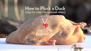 How to Pluck a Duck