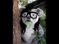 El lado oscuro de skrillex 