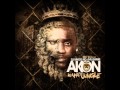 Akon - Used To Know (Remix) feat Gotye ...