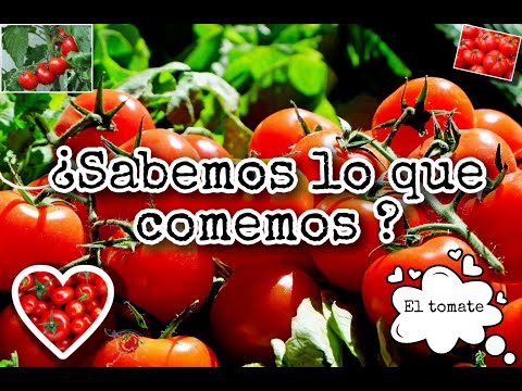, title : 'Las Caracteristicas Del Tomate'
