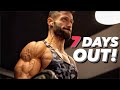 Der 100.000€ Preisgeld Bodybuilding Wettkampf | 7 Days Out Olympia (Kalorien, Makros, Training)